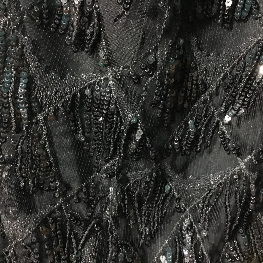 Sequined Fringe Dress - Picture 4 of 4